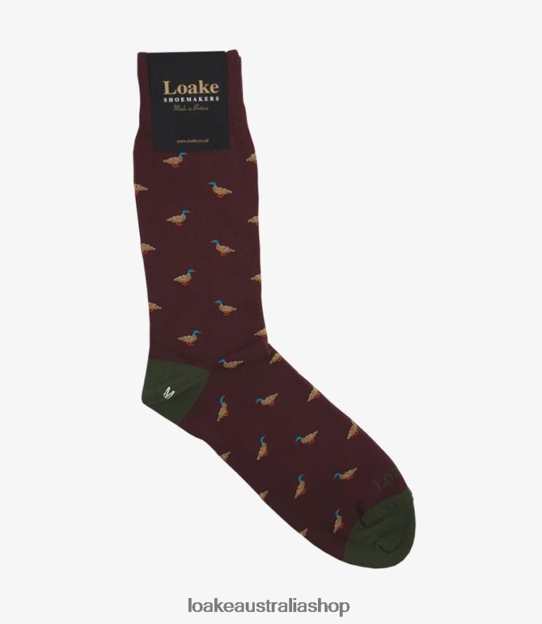 AU Loake Duck Socks Accessories Burgundy 00L200258