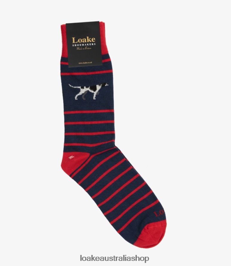 AU Loake Pointer Socks Accessories Navy 00L200251